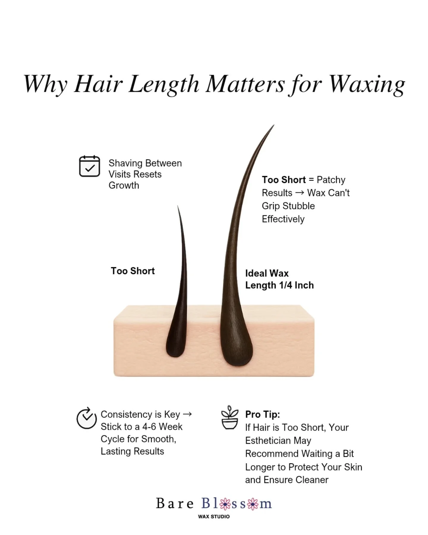 If you want the smoothest results, letting your hair grow out is key!!

Your hair needs to be at least  the length of a grain of rice for the wax to properly grip and remove it from the root. When it&rsquo;s too short, the wax can&rsquo;t grab it... 
