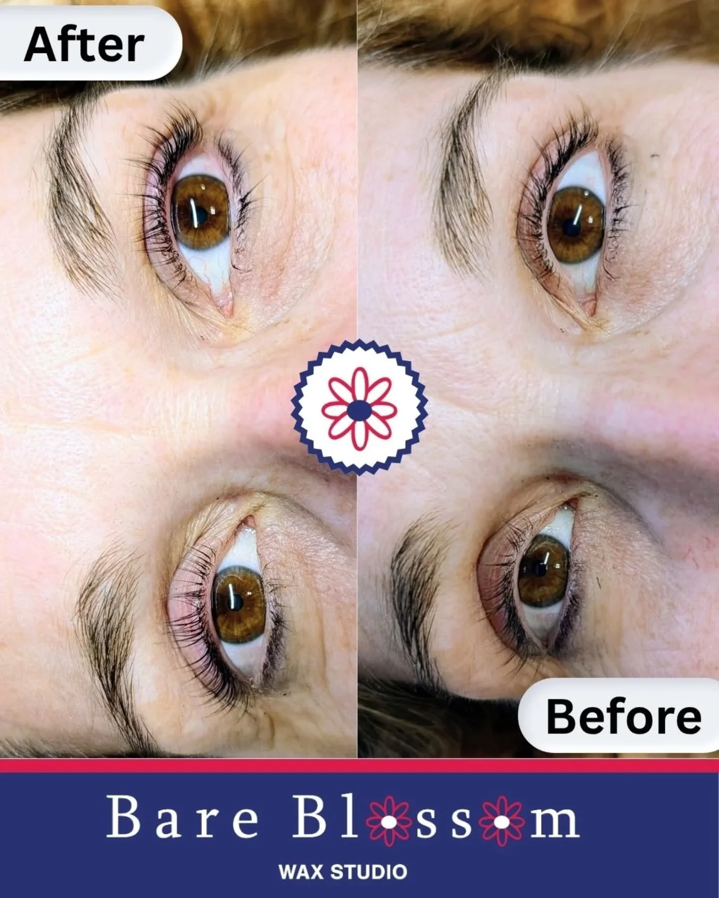 Lash Lift &amp; Tint for this Low Maintenance Queen 💙

📆Booking info in Bio

📍 Find me at 941 Lehman Ave, Suite 104, Bowling Green, KY 
{{located inside Ascent Therapeutics Bodywork}}

#bowlinggreenky #lashlift #bgkylocal #bgky
