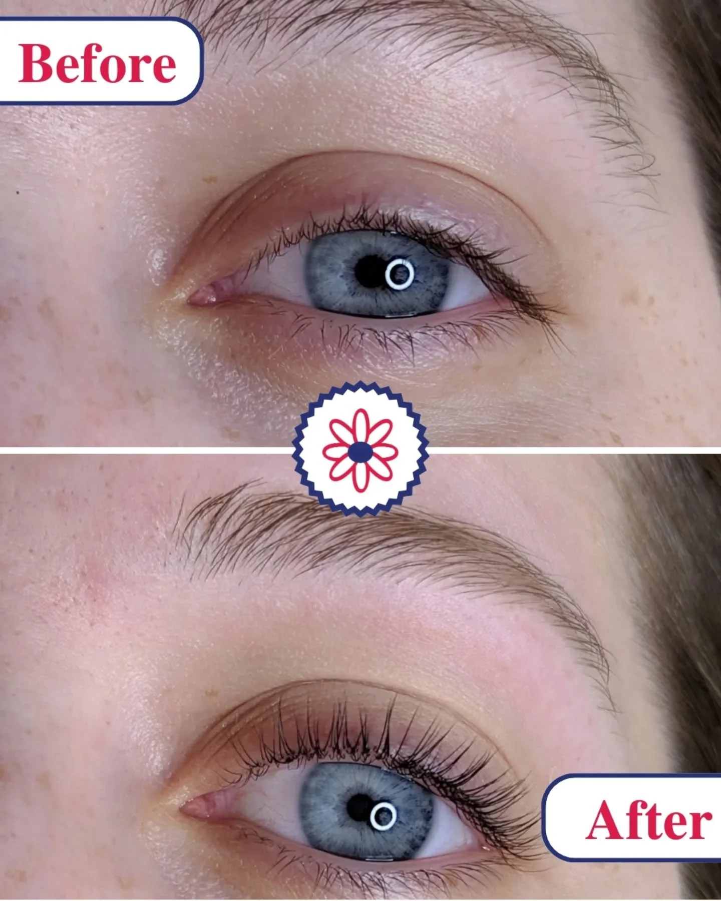 Before and after lash lift service