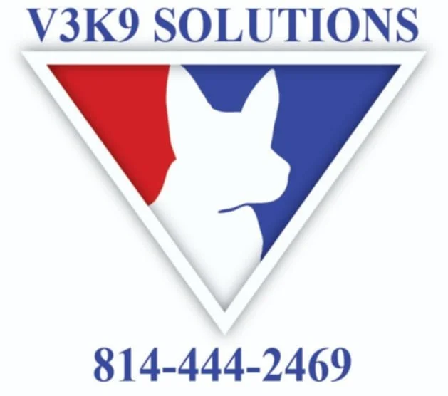 V3K9 Solutions, Inc.