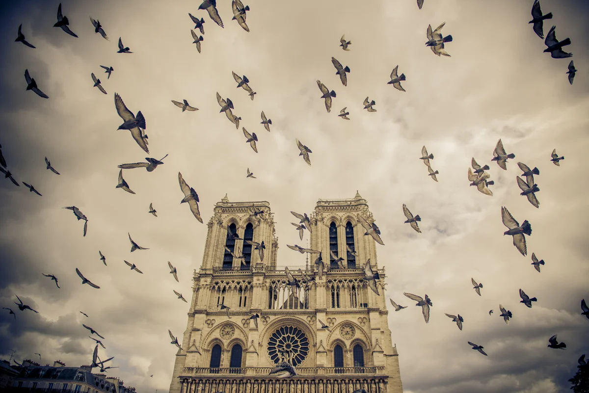 Autumn Day in Notre Dame