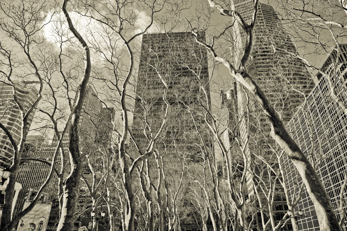 Manhattan, Once a Jungle, still a Jungle.