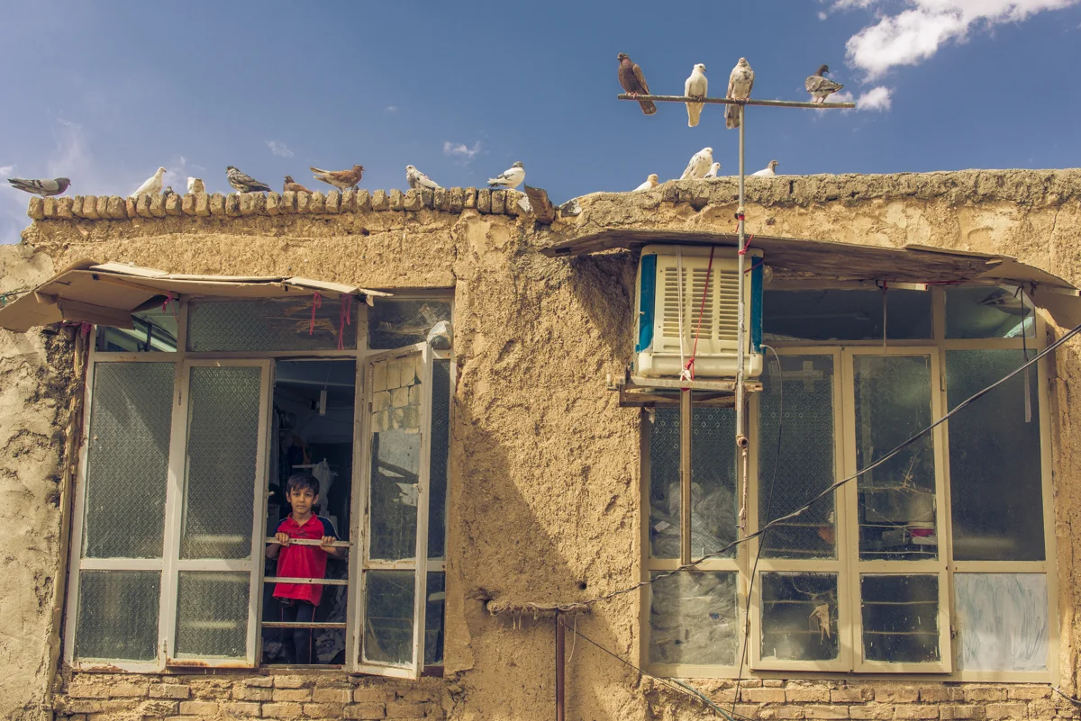 The Boy and His Doves.