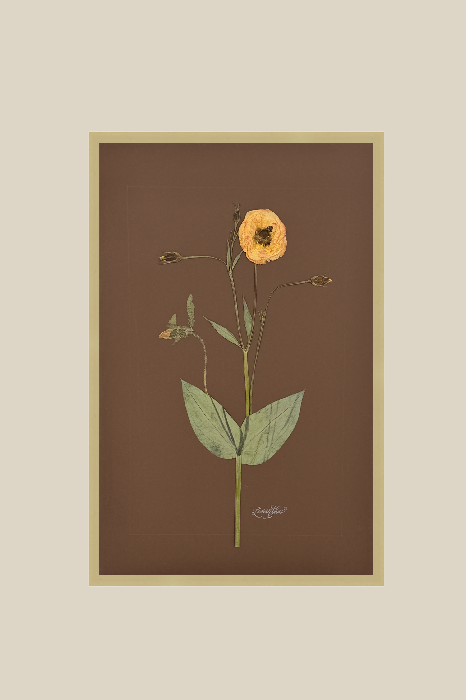 lisianthusonbrownbrushedgold11x17.png