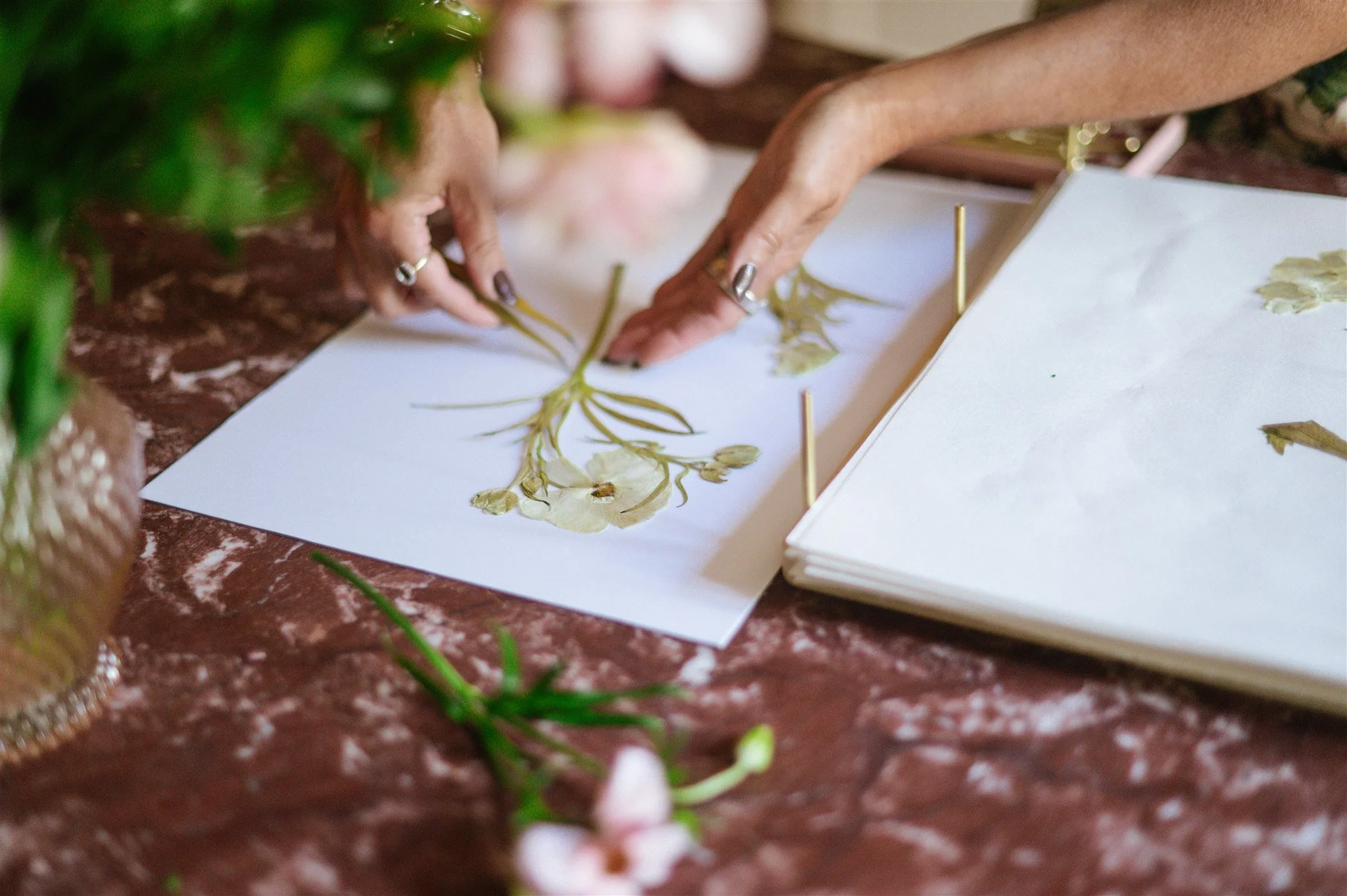 Flower Pressing Basics with Well Stocked at AO Van Aken