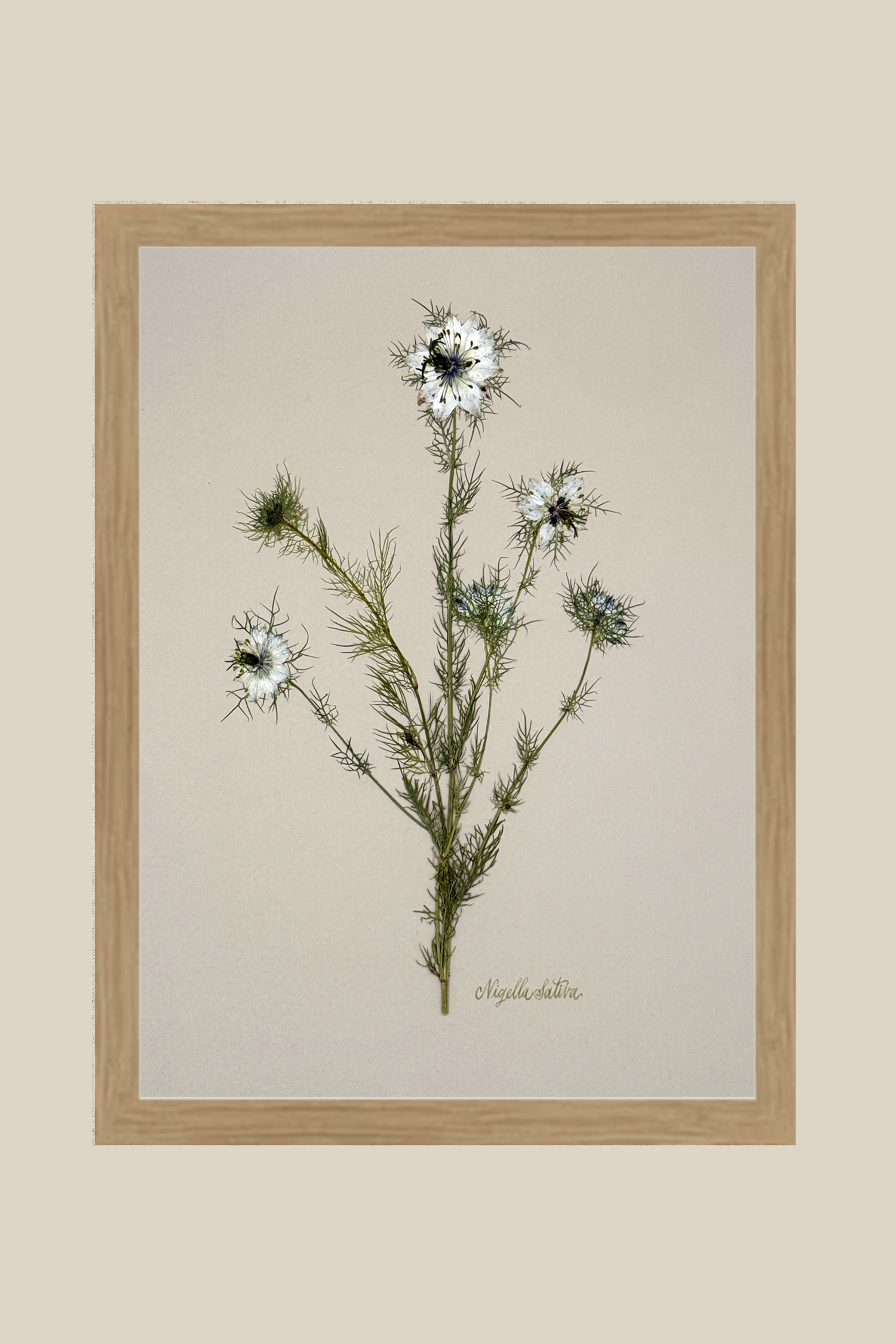nigellarawwood12x16SSBACKDROP.png