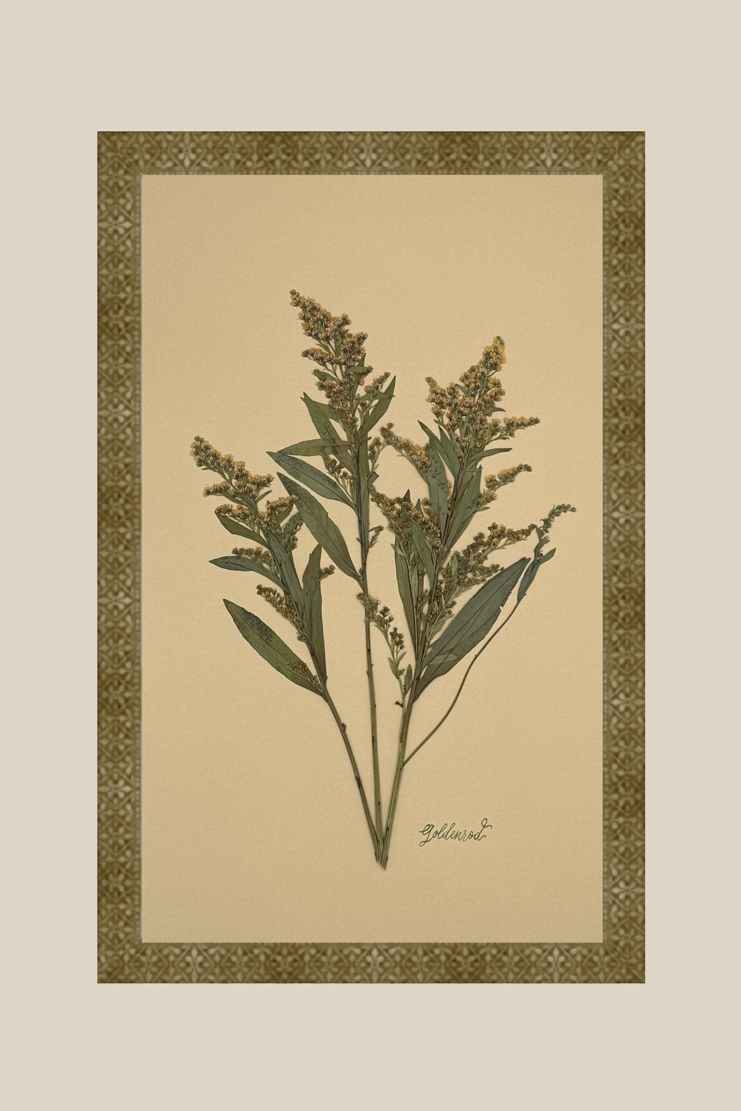 Goldenrod on Mustard