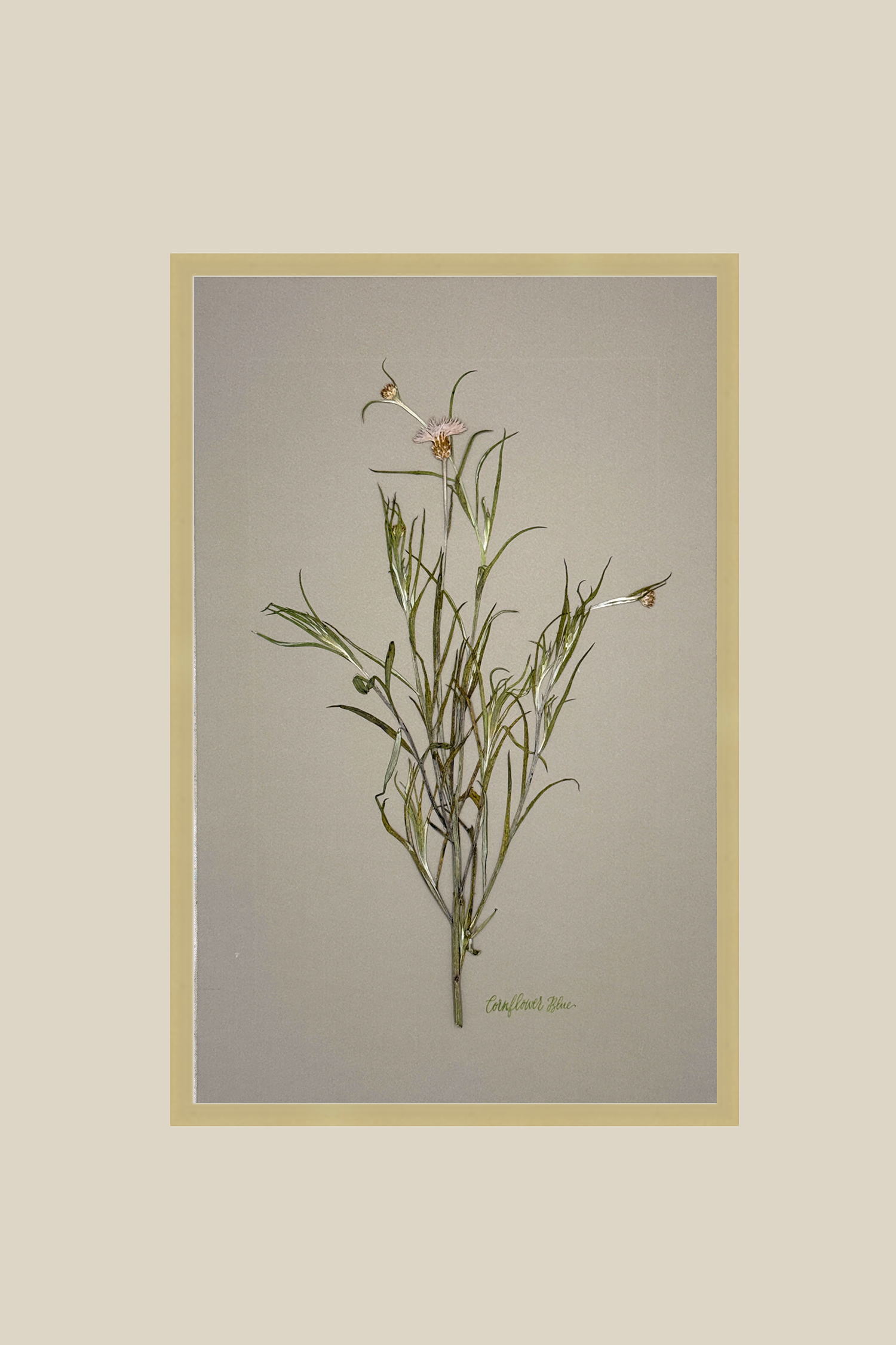 cornflowergraybrushedgold11x17.png