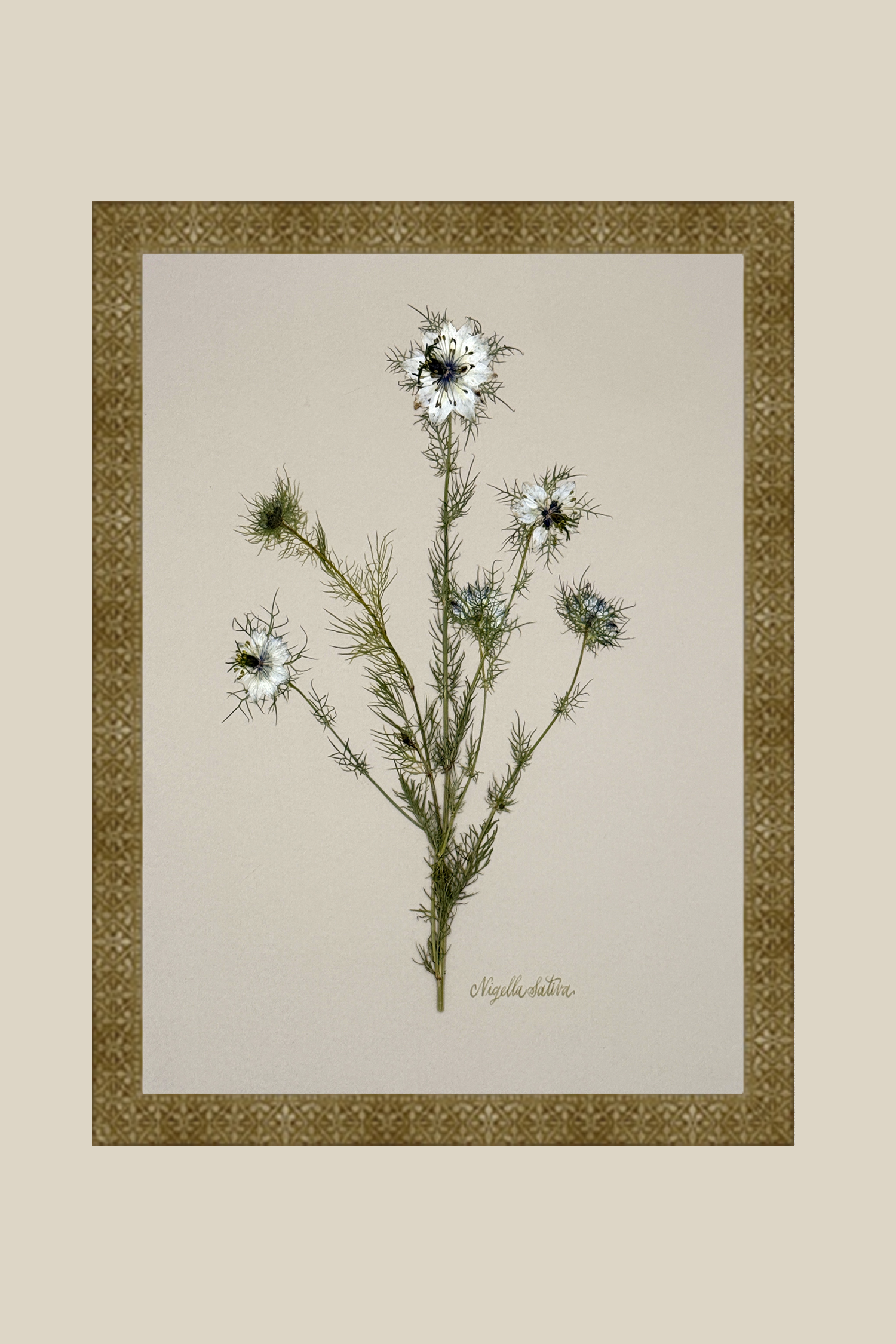 nigellamarrakesh12x16SSBACKDROP.png