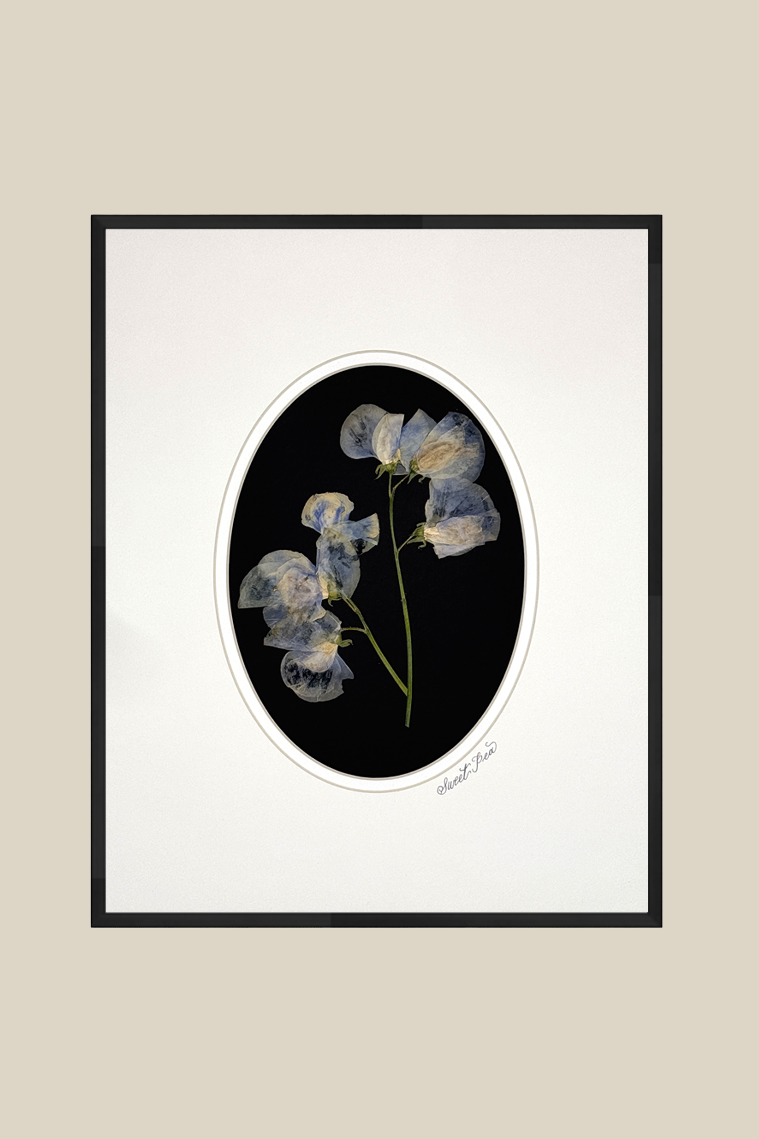 Sweet Peas on Black with White Oval Mat