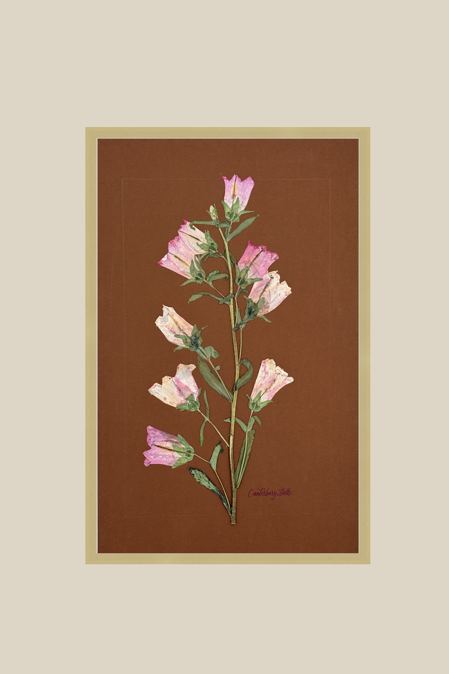 pinkcaterburybrushedgold11x17.png
