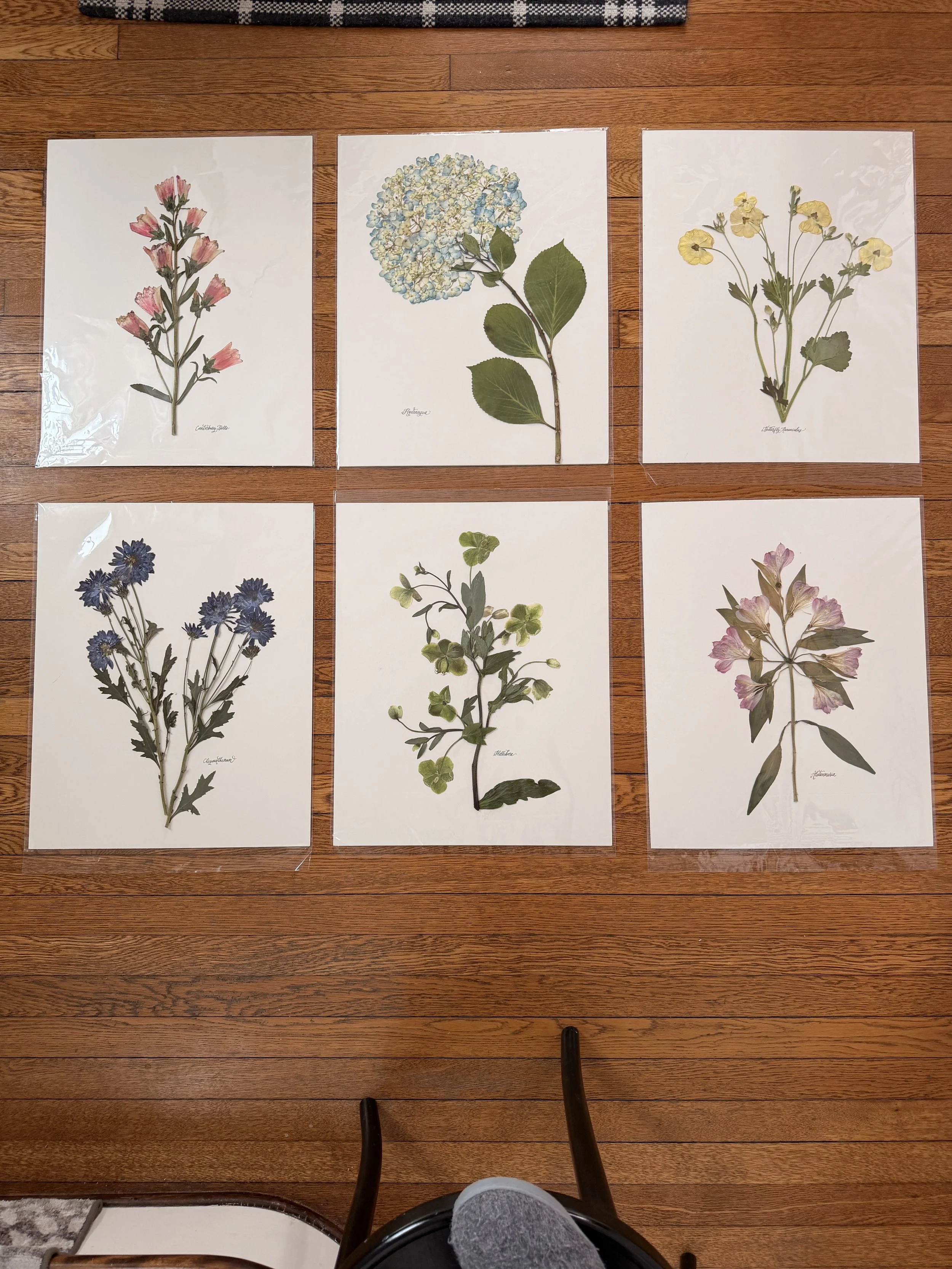 The Florida Condo Project