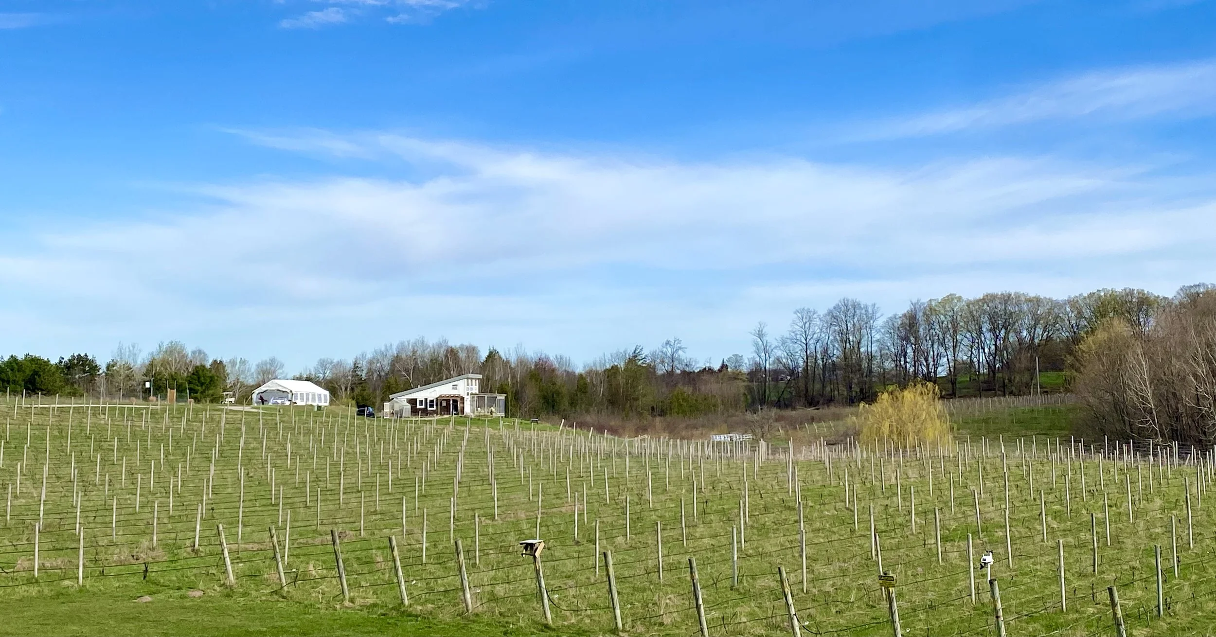 FullSizeRender 4.jpeg