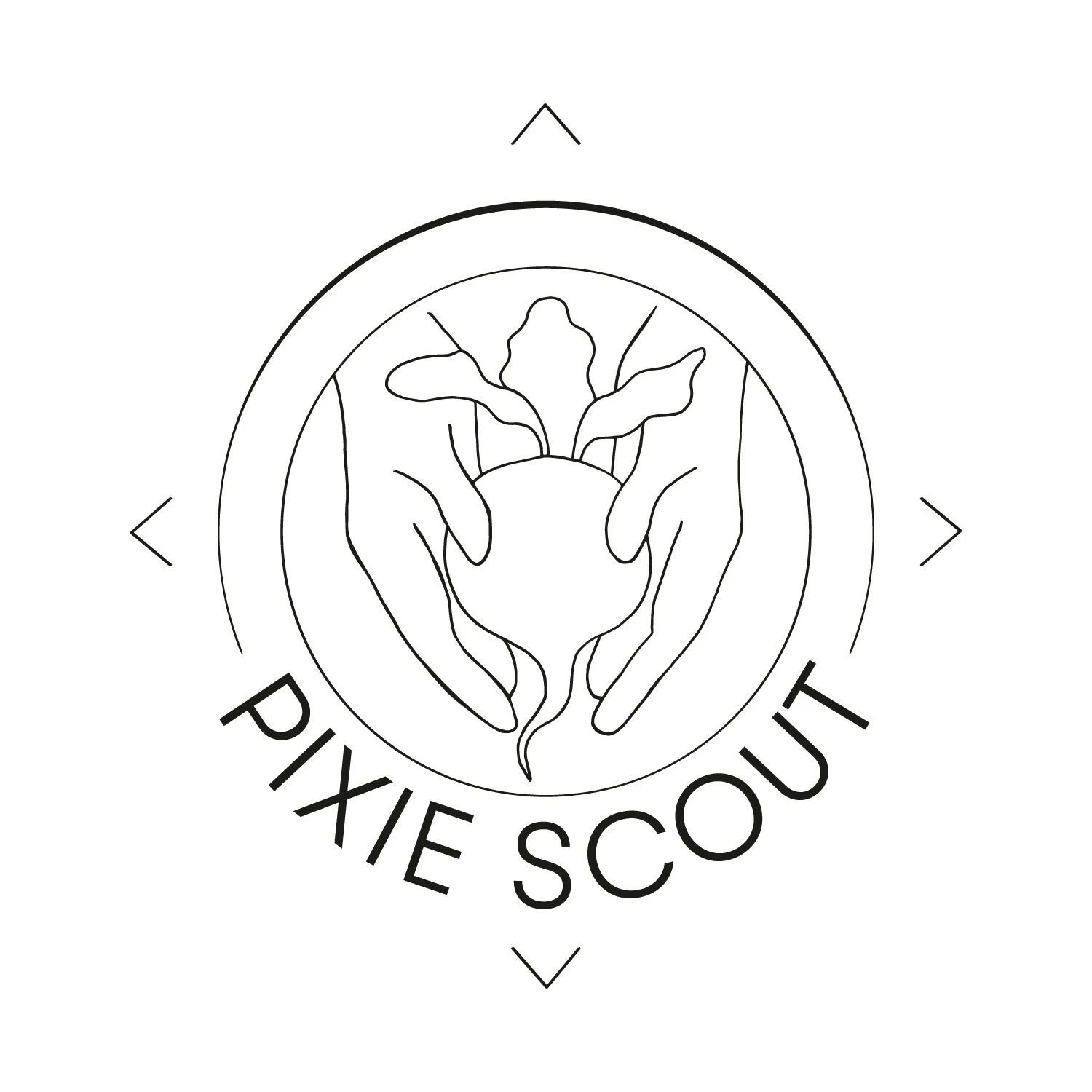 Sliced Seasonal Fruit