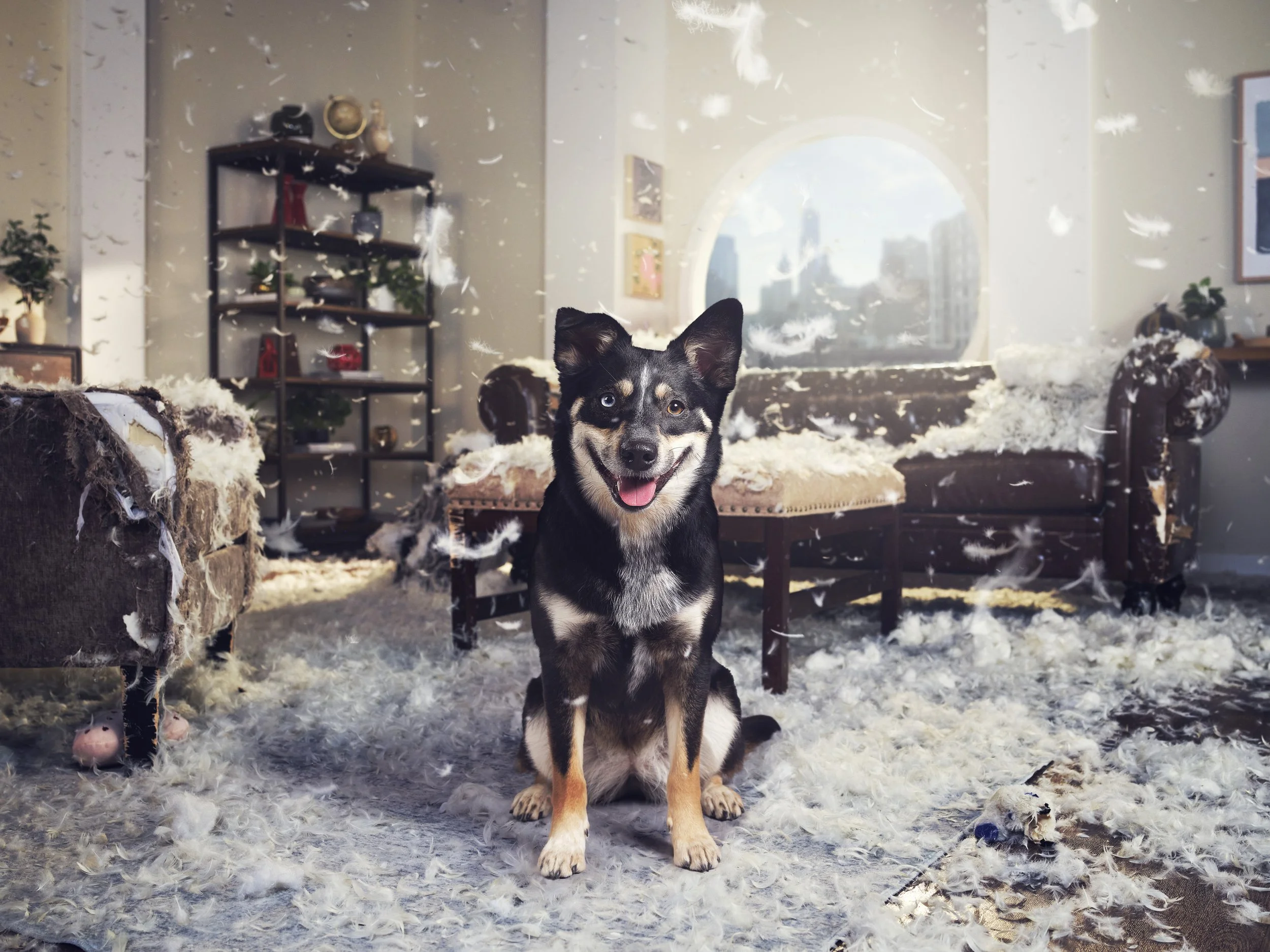 240213_Honest_Momo Full 1027.jpg