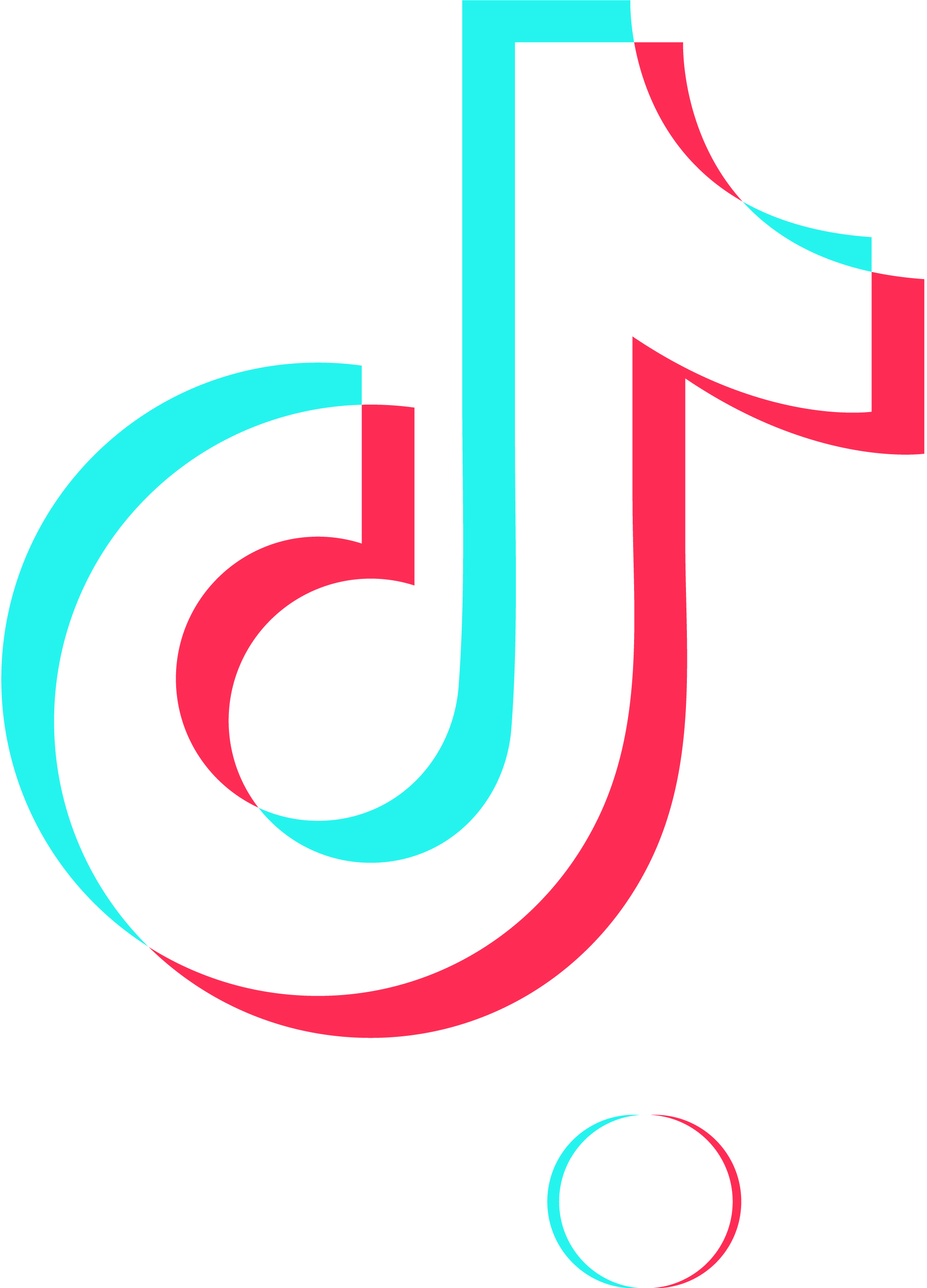 TikTok logo with app name below.