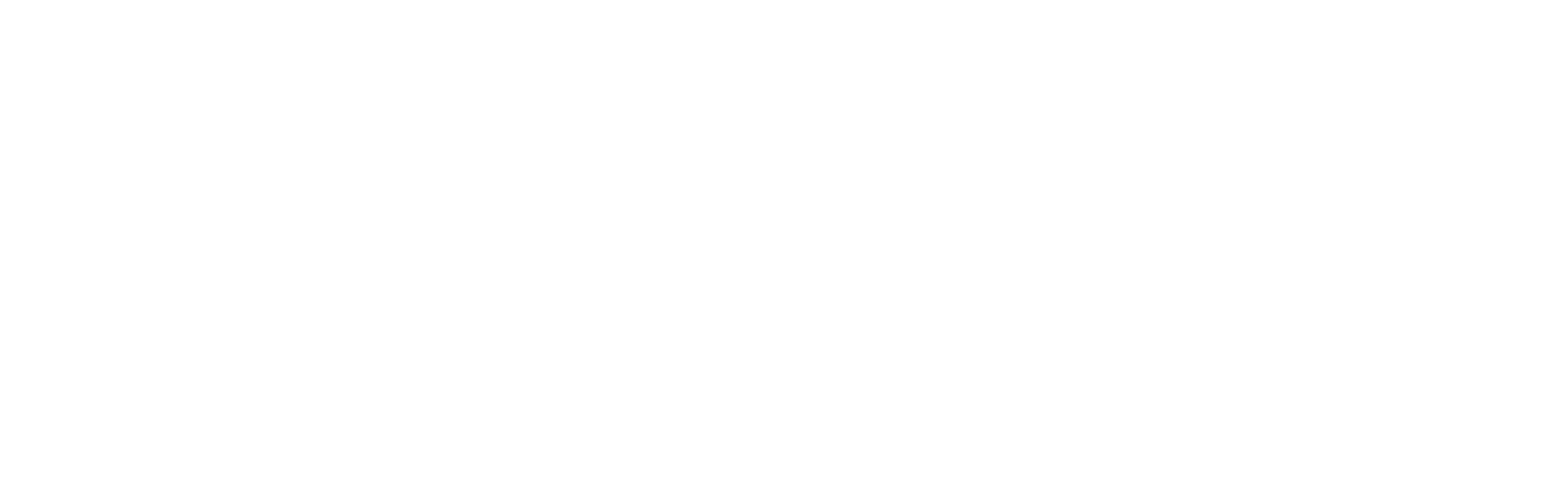 Arnott International logo in black and white