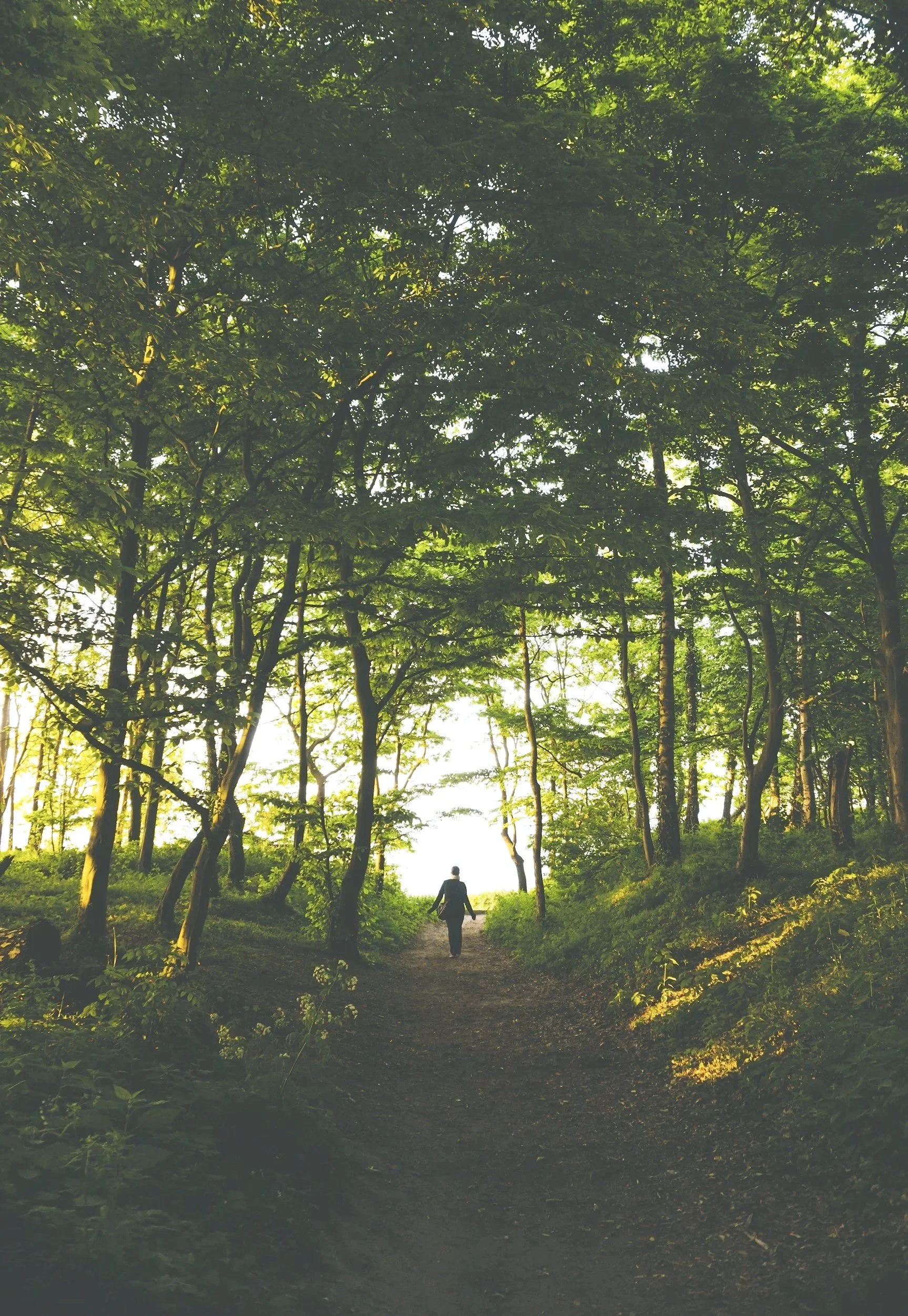 Understanding Regenerative Wellness: Supporting Your Body's Natural Ability to Repair
