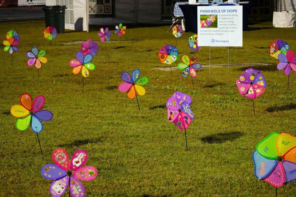 Pinwheels of Hope Painting and Decorating