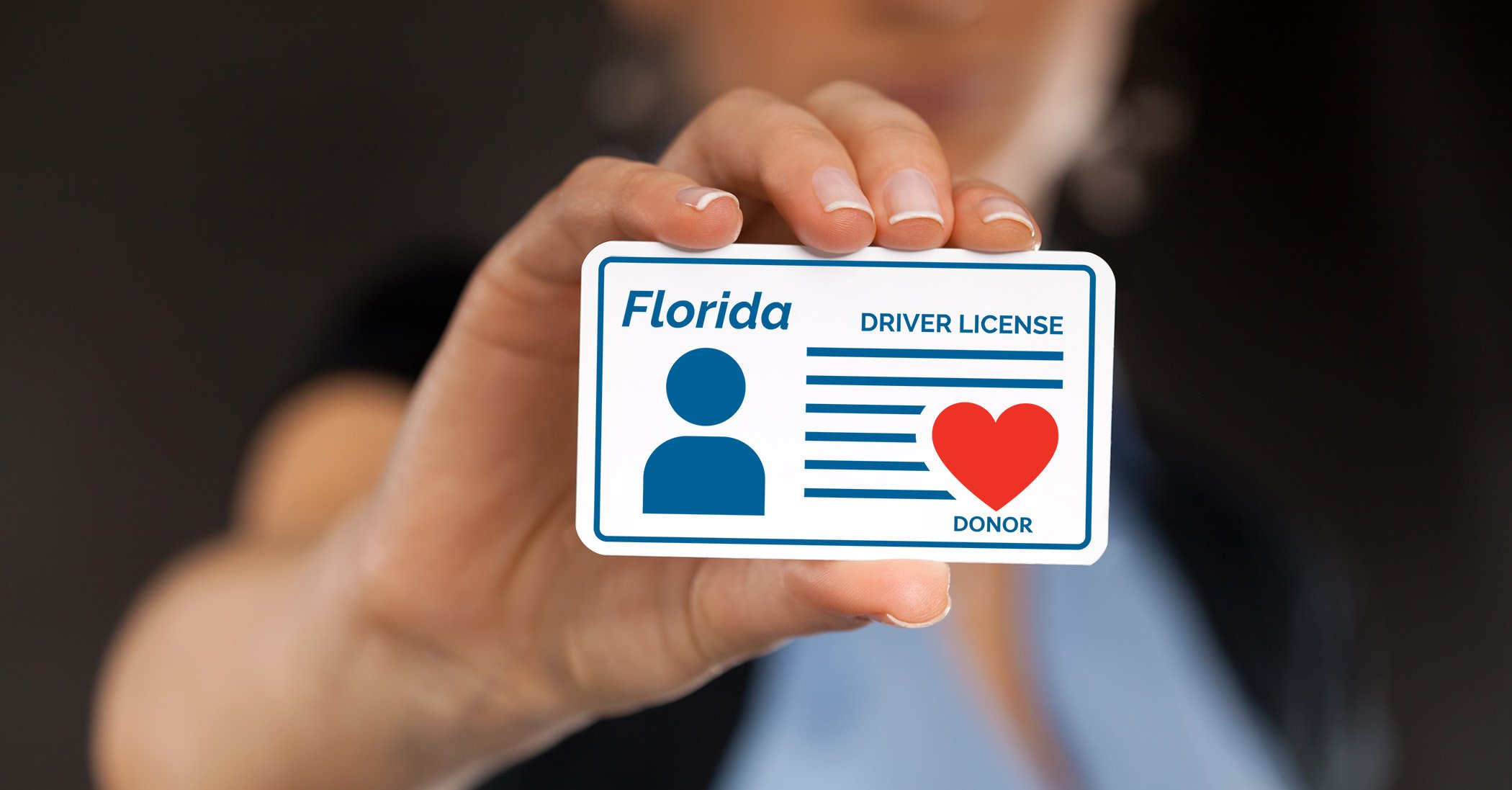 Close-up of a person holding a Florida driver license with a blue silhouette, lines of text, and a red heart icon labeled 'donor'.
