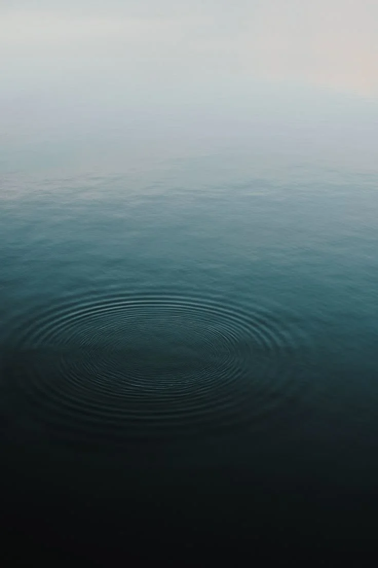 Calm body of water with concentric ripples near the surface, under a light sky.