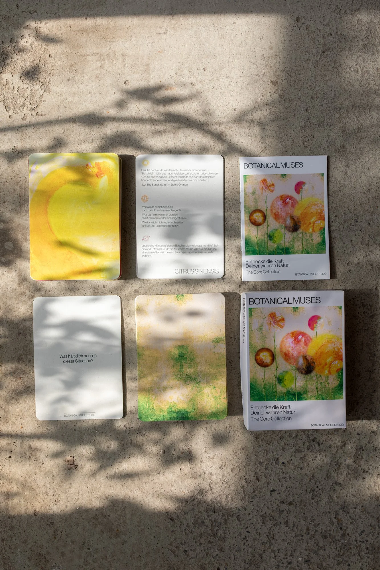 Botanical_Muses_20_web.jpg