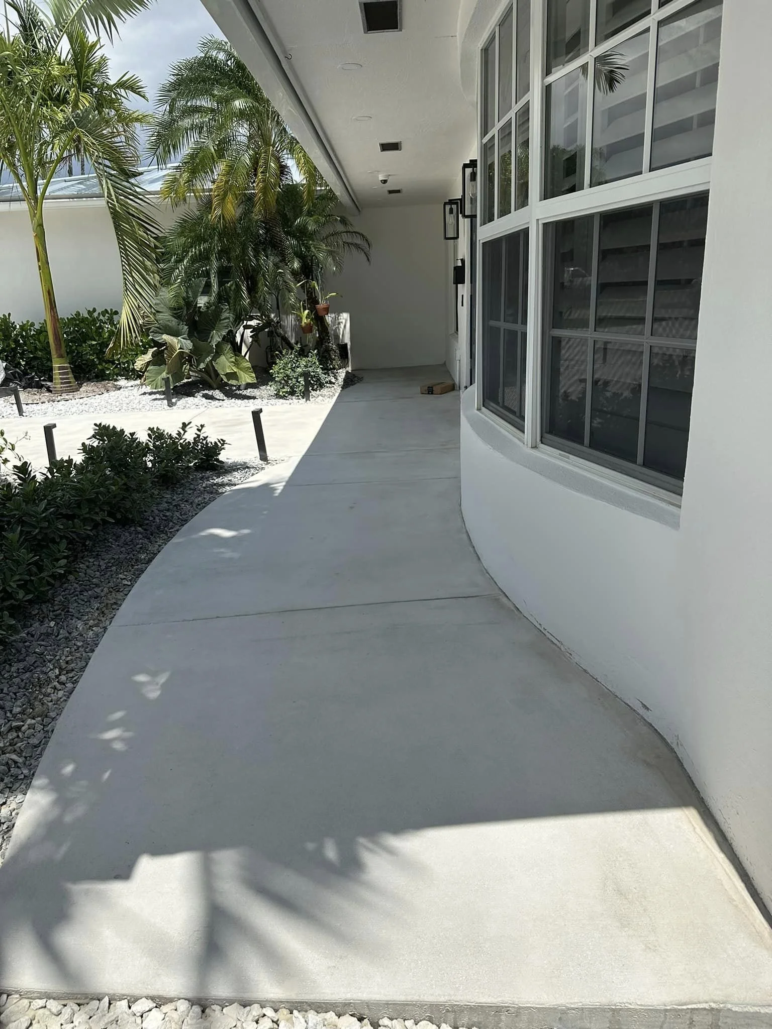 A curved sidewalk outside a modern white building with large windows. There's a garden with tropical plants and palm trees on the left side, and the area is sunny with shadows cast on the ground.