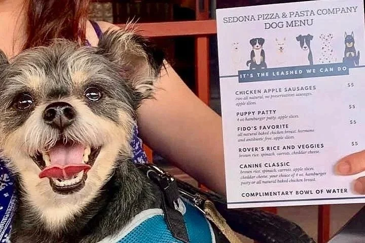 Have A Pawsome National Pet Day