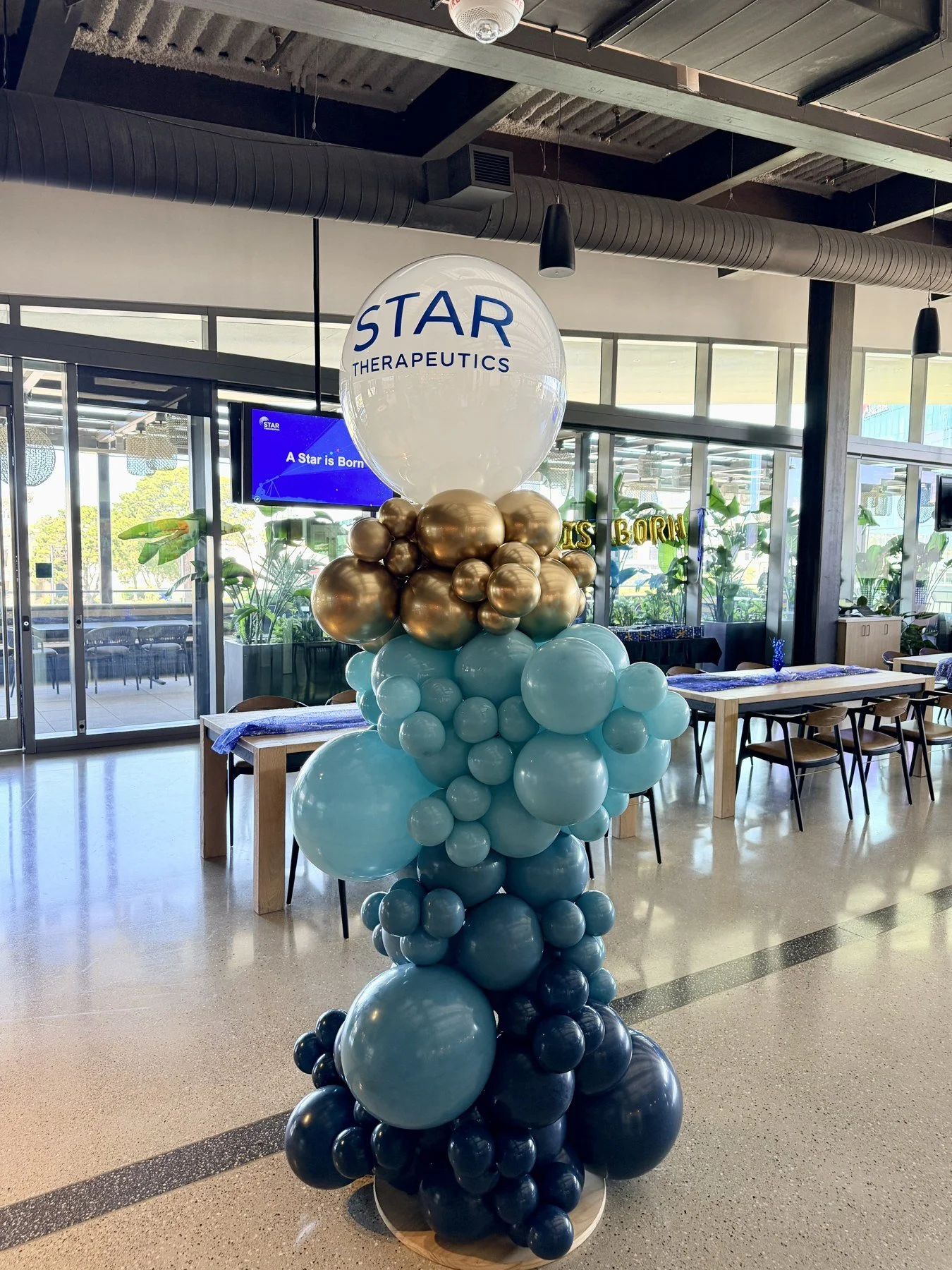 Star Therapeutics Corporate Balloon Column | Office