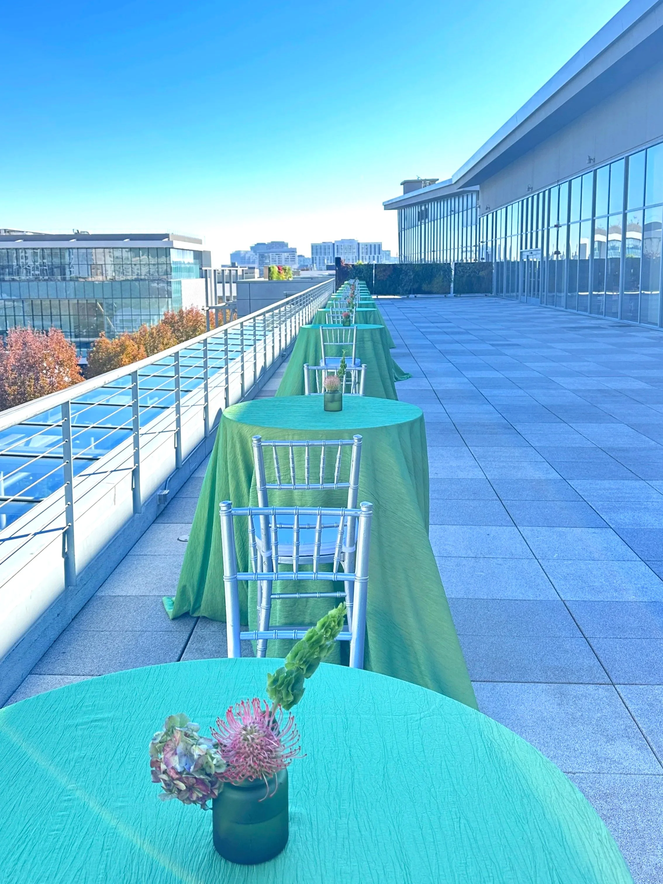 Emerald Green Balcony Setup | City View San Francisco