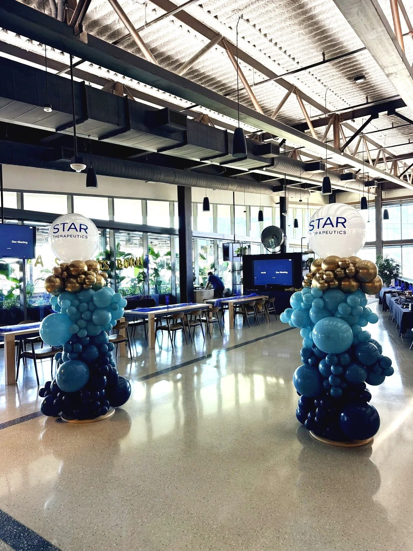 Star Therapeutics Corporate Balloon Columns | Office