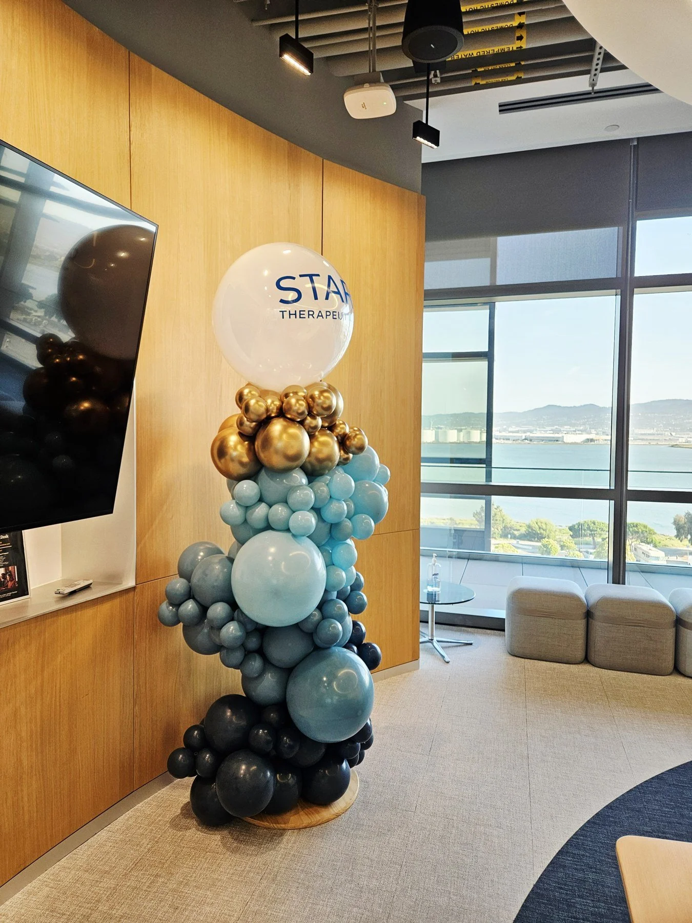 Star Therapeutics Corporate Balloon Column | Office