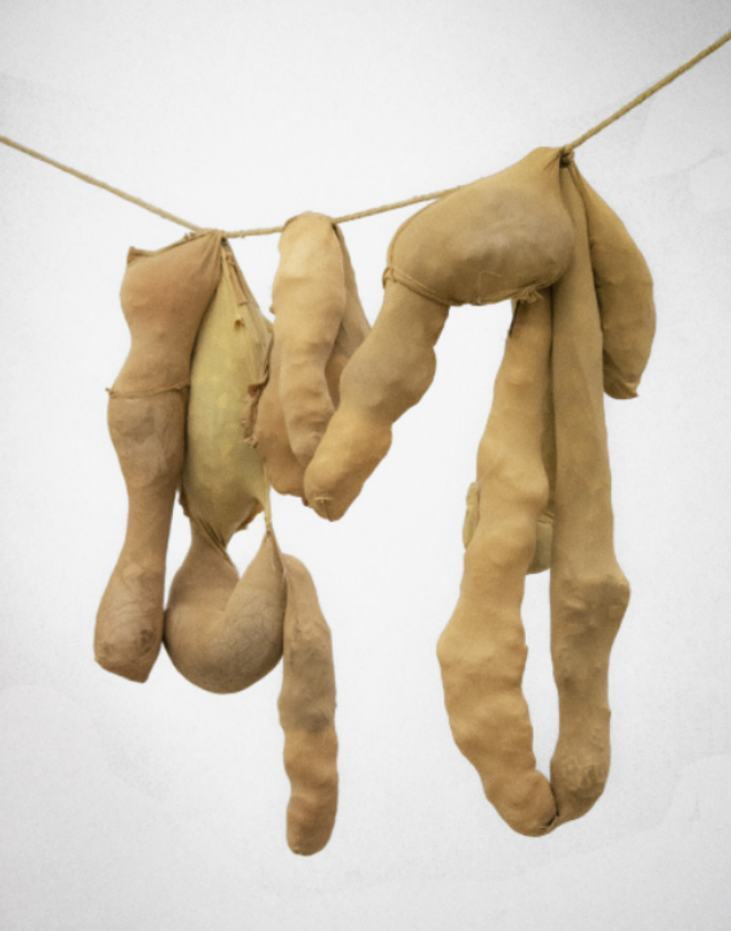 imagen_2026-06-15_221306714.png
