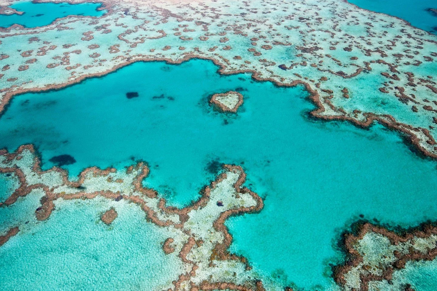 Australia&rsquo;s vast and vibrant landscapes are truly one-of-a-kind, bursting with natural wonders at every turn. Explore the breathtaking beauty of Australia&rsquo;s spectacular backyard on your next trip. #seeaustralia @Australia 🦘 
Image credit