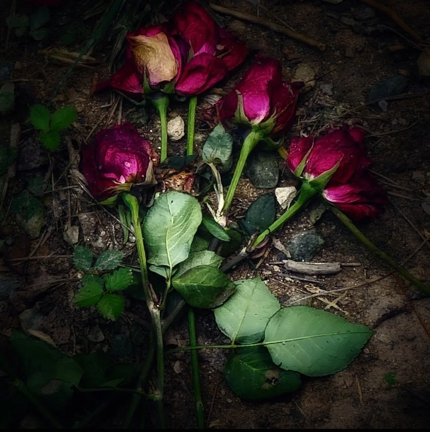 Fallen