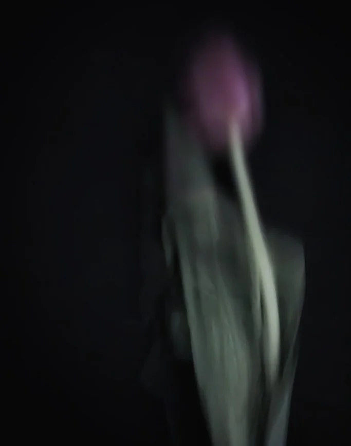 Entries 3.jpg