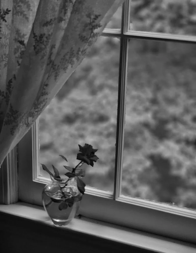 Window