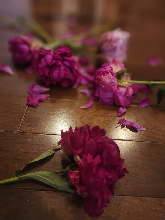 Impermanence