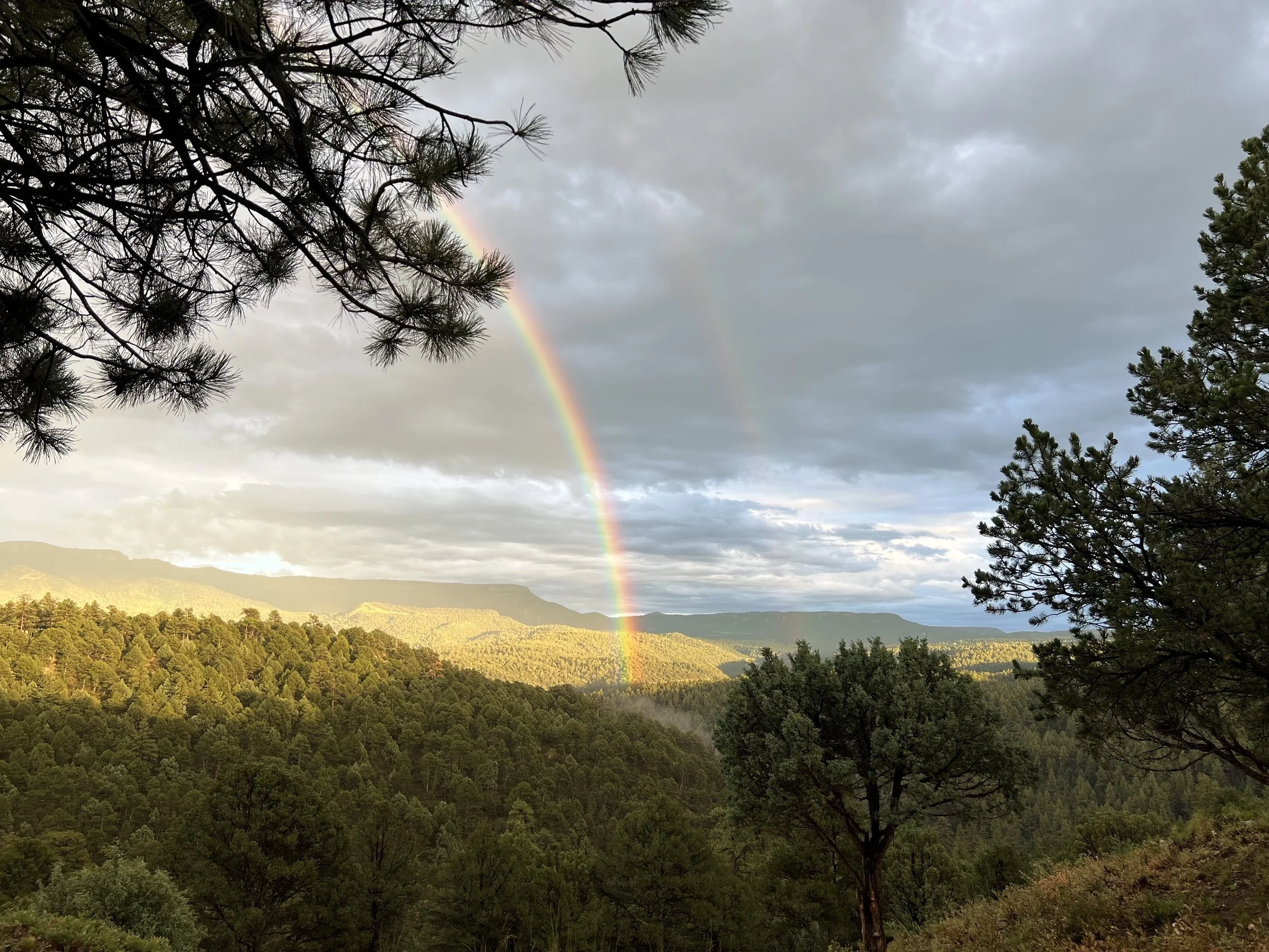 A scenic view of a rainbow over a green forested valley with mountains in the background, partly cloudy sky, and trees framing the scene.