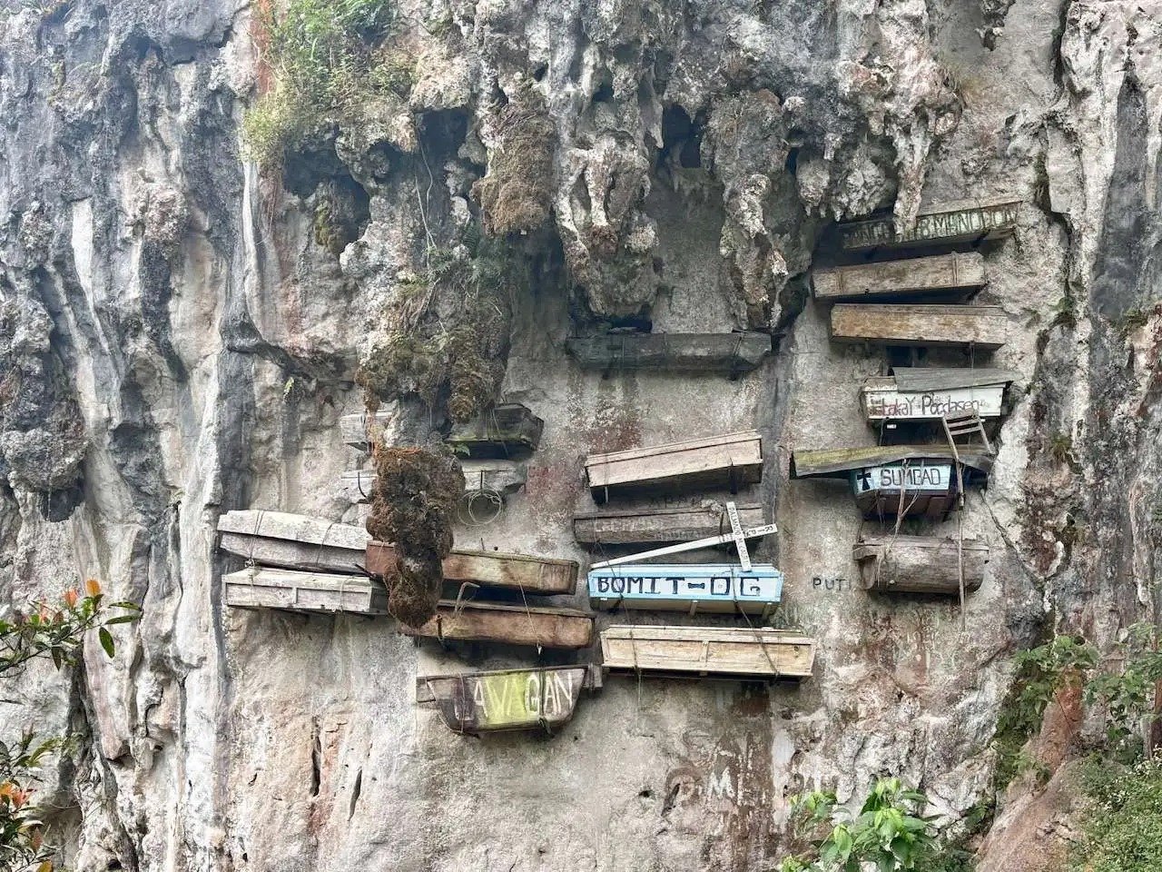 Hanging coffins on a limestone cliff in Echo Valley, Sagada, Philippines