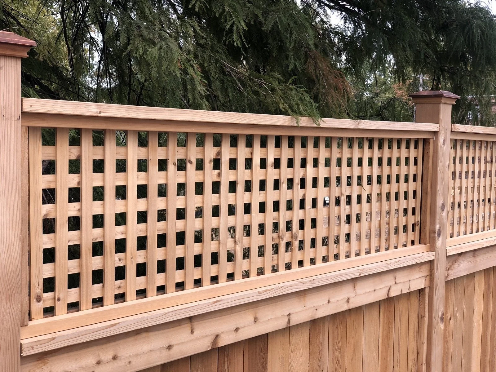 A wooden privacy fence with lattice top panels and vertical planks, surrounded by green tree branches.