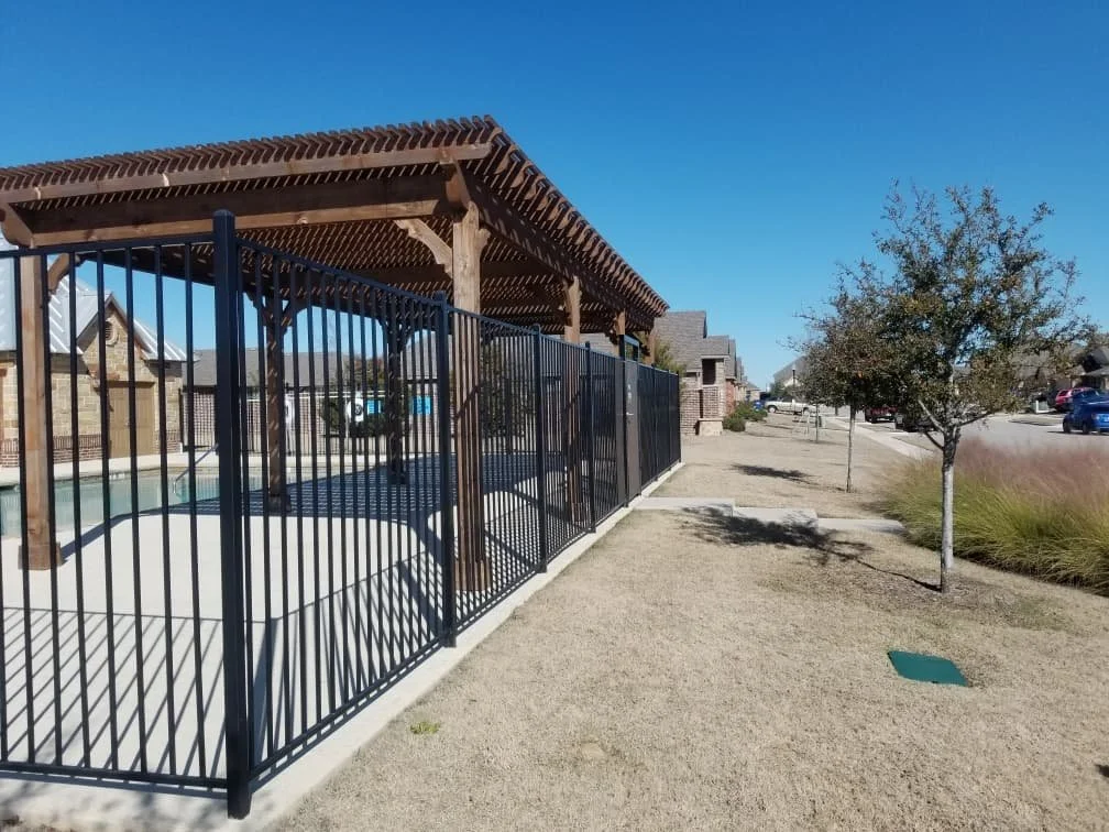 A metal black fence surrounds a backyard with a swimming pool, with a wooden pergola overhead. There are small trees and ornamental grasses along a sidewalk in front of the pool area, and residential houses are visible in the background under a clear