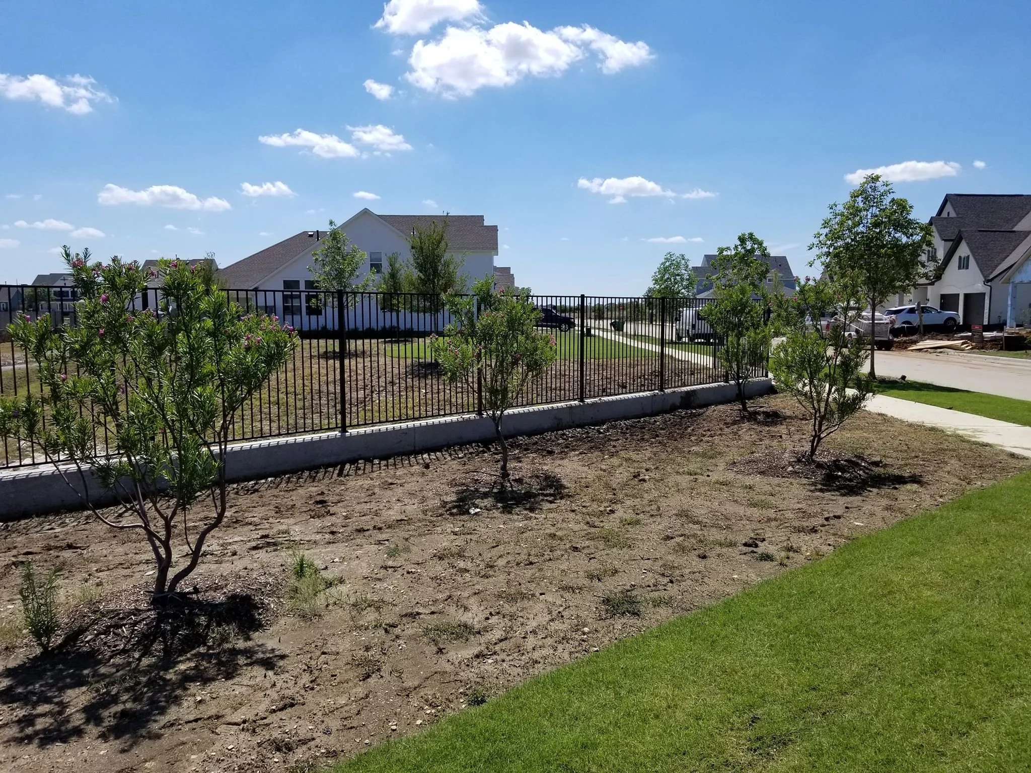 A residential neighborhood with newly planted trees, a black metal fence, and houses in the background. The sky is blue with a few clouds.