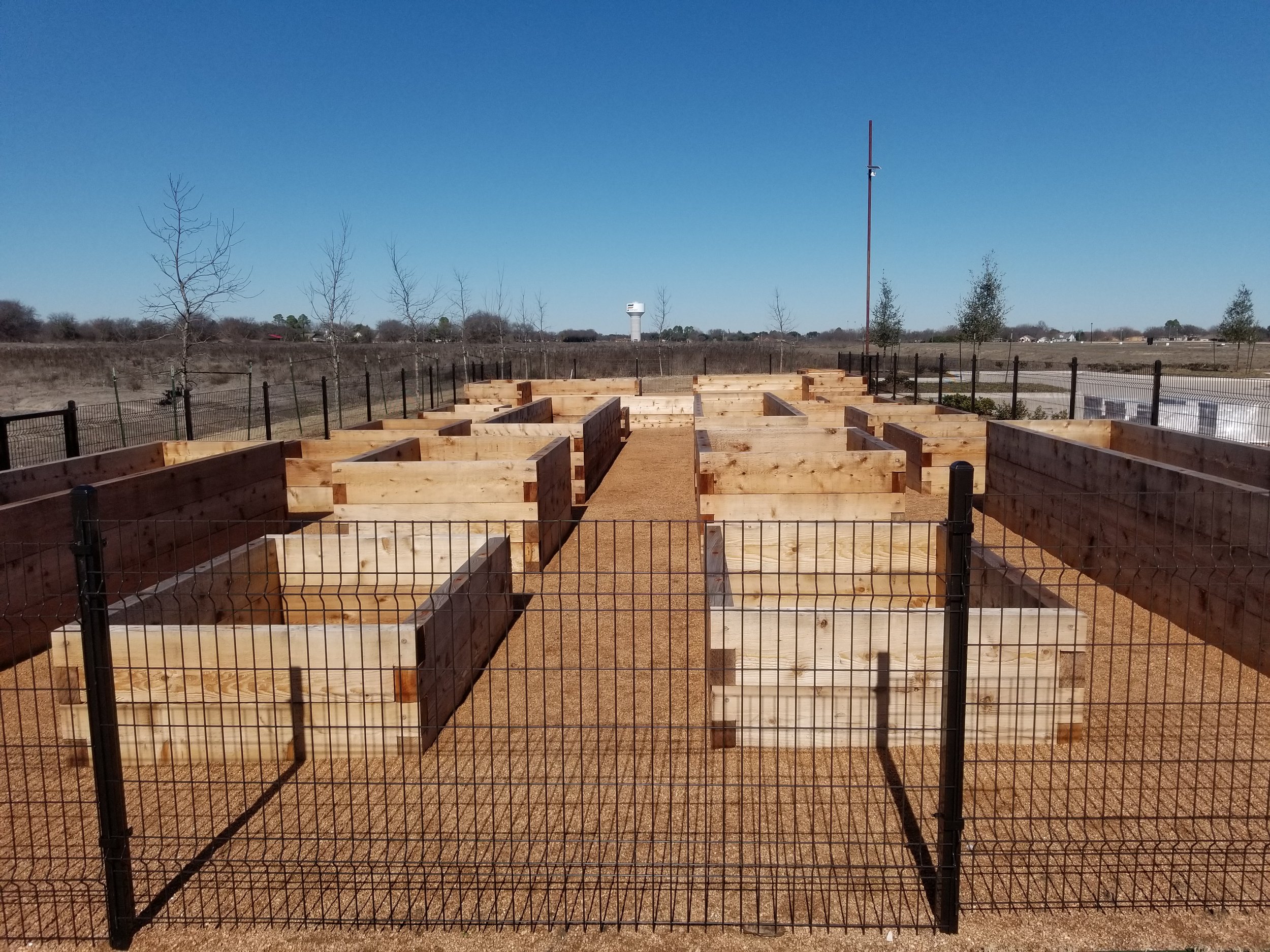 Empty wooden raised garden beds in a fenced outdoor area on a sunny day.