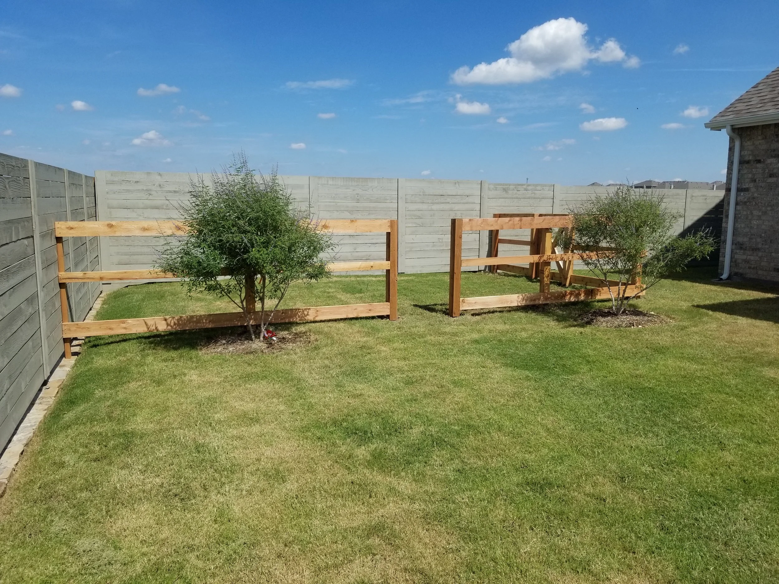 Backyard with green grass, two small trees, wooden fence, and a house on the right under a blue sky with white clouds.