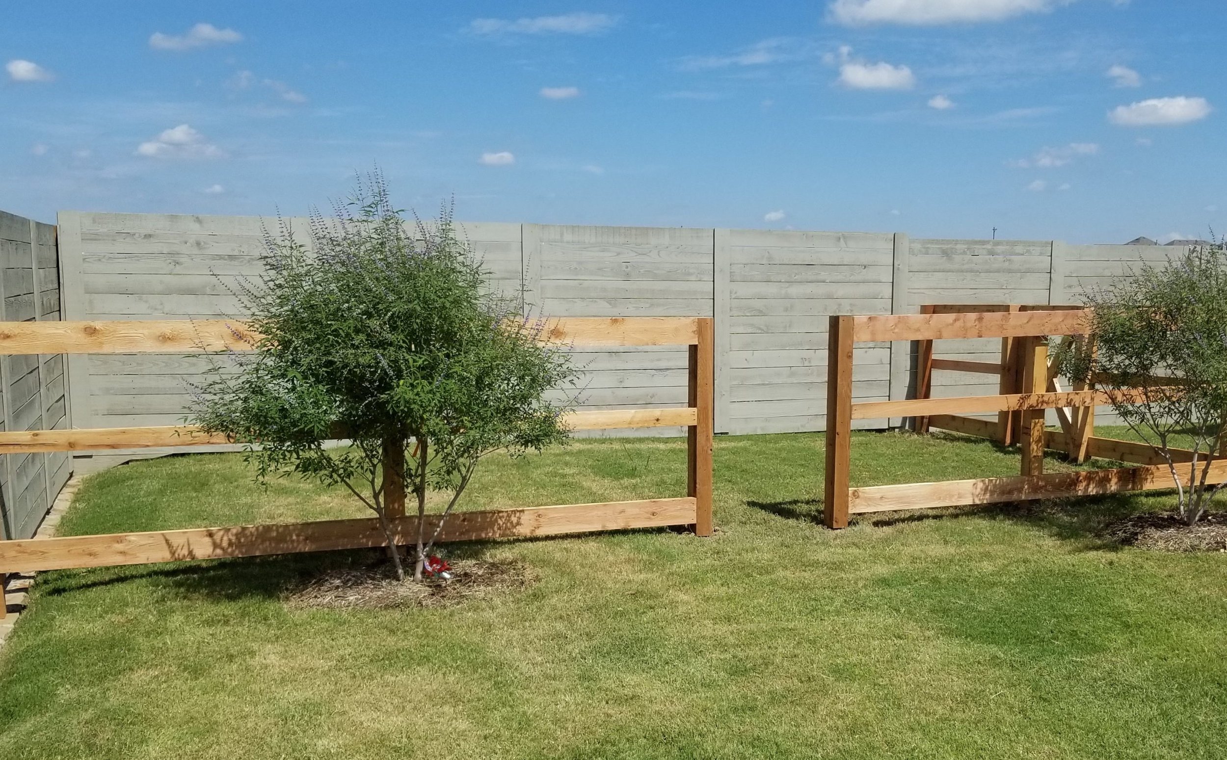 Backyard with new wooden fence panels, small trees, and a grassy lawn under a clear blue sky.