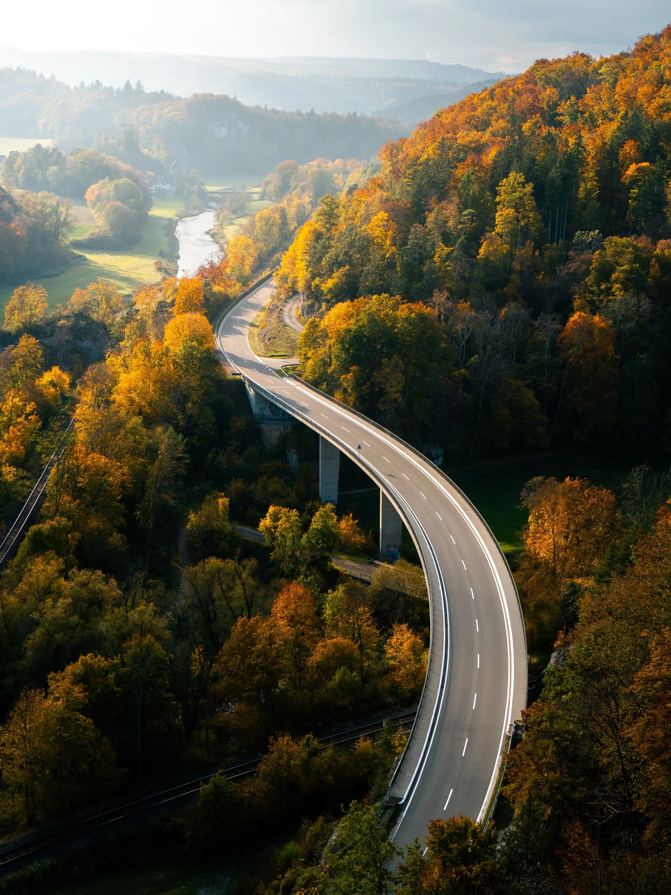 Vogelperspektive einer lang gezogenen Kurve zwischen herbstlich verfärbten Bäumen im Donautal