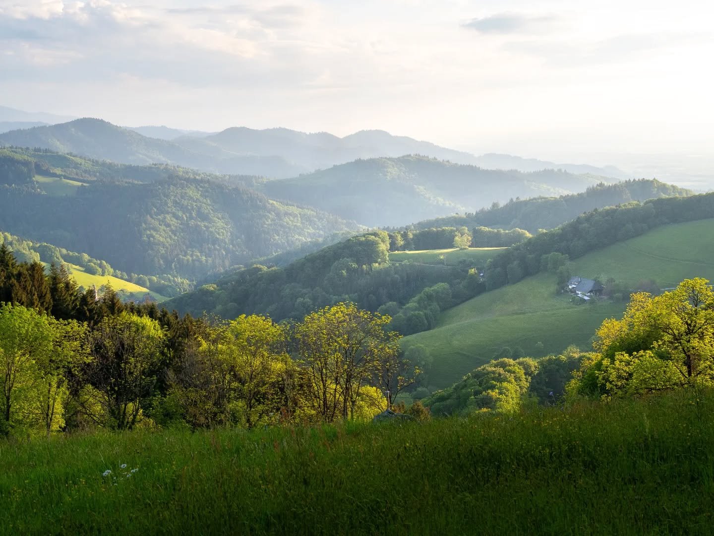 Schwarzwald pur 💚🌲

#visitblackforest #schwarzwaldliebe #panorama #mountainview #femaleexplorercommunity
