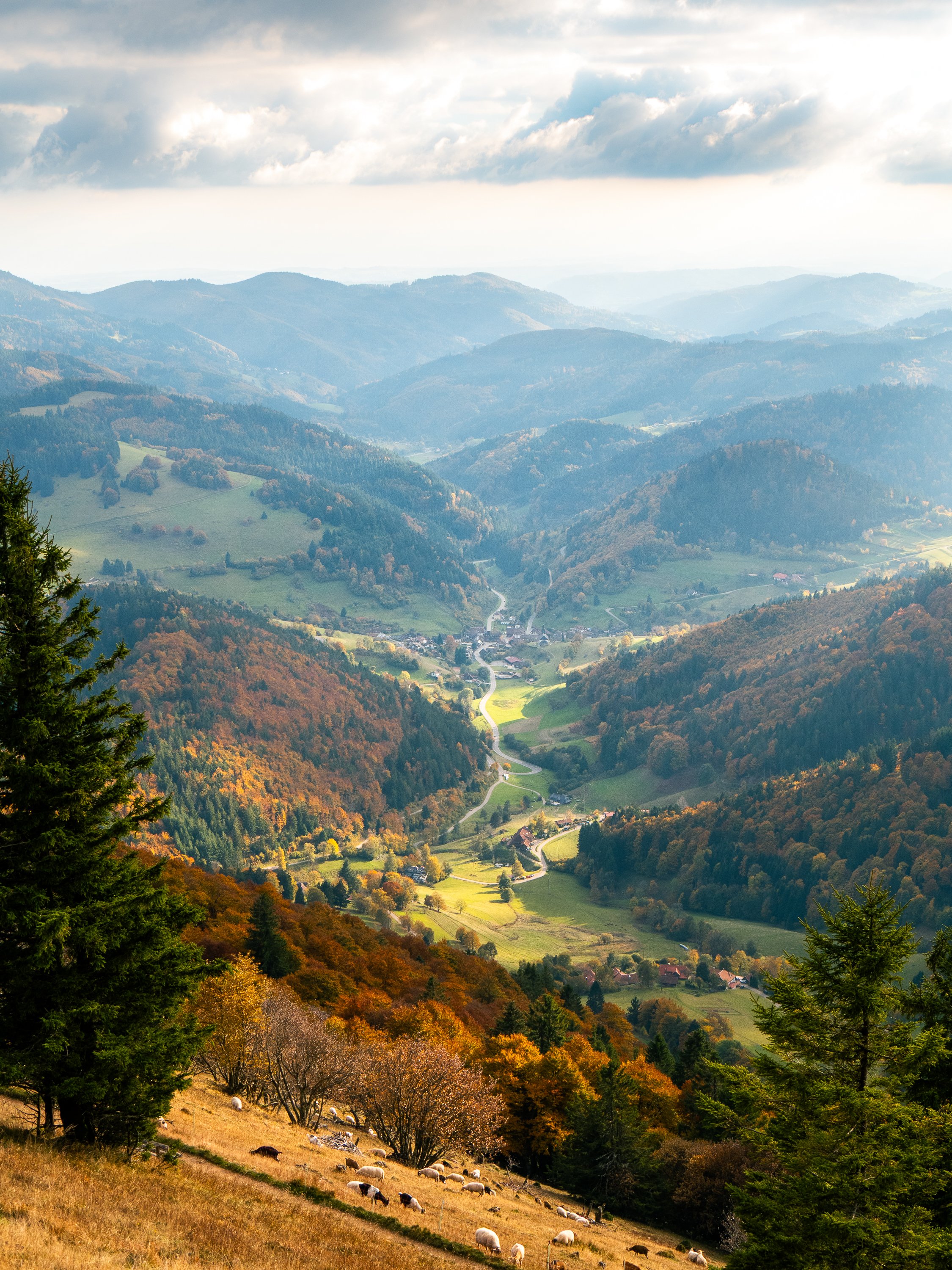 Ausblicke vom Belchen: Zwischen Herbst-Panorama und Nebel 🍁

#belchen #s&uuml;dschwarzwald #panorama #landschaftsfotografie #herbstfarben
