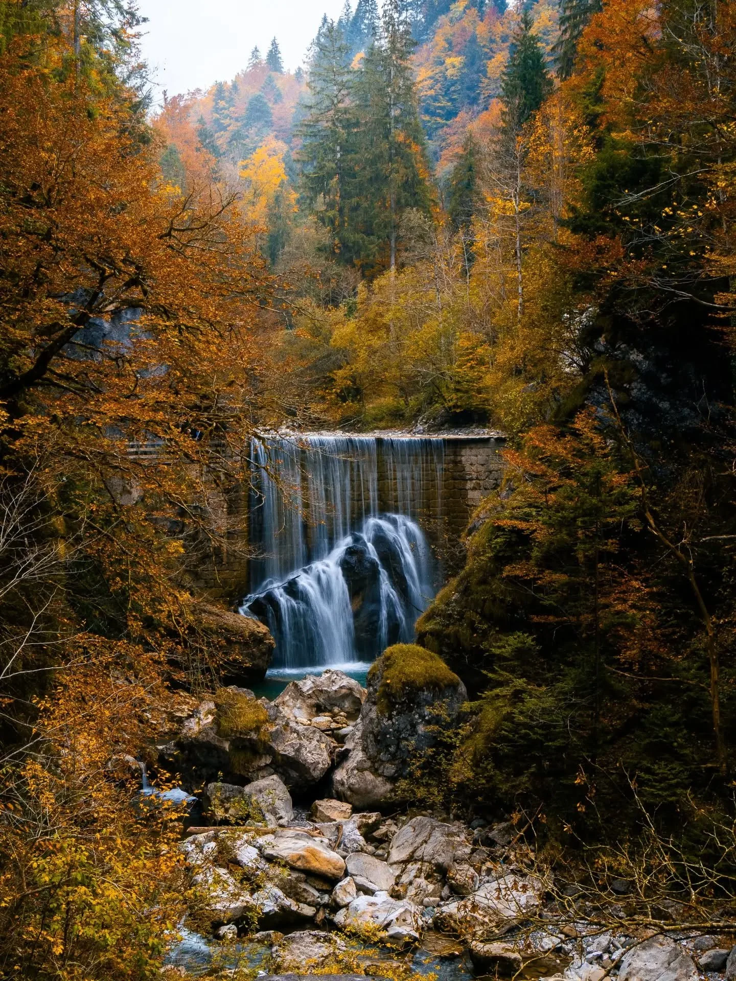 Absolut traumhaft im Herbst: Die Rappenlochschlucht bei Dornbirn in &Ouml;sterreich 🇦🇹🍂 Wer war schon dort?

#rappenlochschlucht #autumncolors #outdooradventures #waterfalls #woodlands_and_water